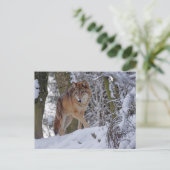 Vintage Winterwolf Postkarte (Stehend Vorderseite)