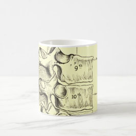 Vintage Wirbel der Anatomie-| Kaffeetasse
