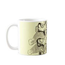 Vintage Wirbel der Anatomie-|