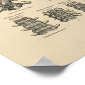 Vintage Wirbelknochen 1880 drucken Poster (Ecke)