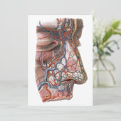 Vintage Wissenschaft menschliche Anatomie, Angesic (Stehend Vorderseite)