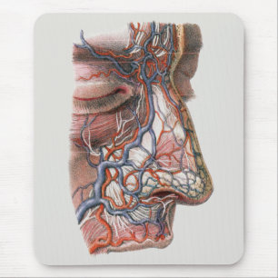 Vintage Wissenschaft menschliche Anatomie, Angesic Mousepad