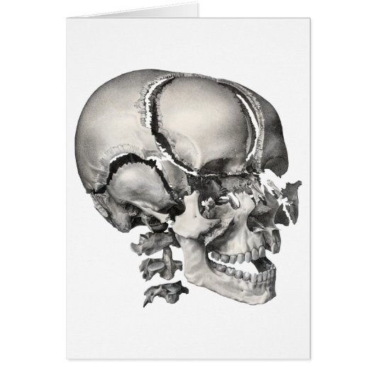 Vintage Wissenschaft menschliche Anatomie, antiker (Vorne)