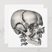 Vintage Wissenschaft menschliche Anatomie, antiker (Vorne/Hinten)