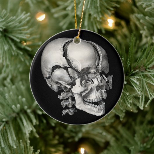 Vintage Wissenschaft menschliche Anatomie, antiker Keramik Ornament (Baum)