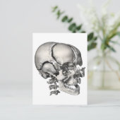 Vintage Wissenschaft menschliche Anatomie, antiker Postkarte (Stehend Vorderseite)