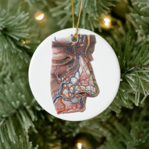 Vintage-Wissenschaft Menschliche Anatomie, Gesicht Keramik Ornament