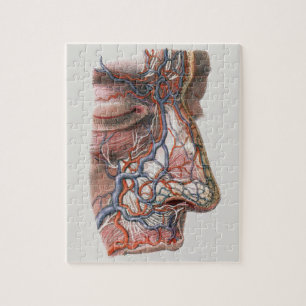 Vintage-Wissenschaft menschliche Anatomie, Gesicht Puzzle