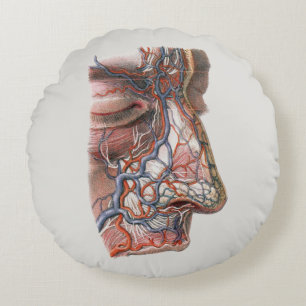 Vintage-Wissenschaft Menschliche Anatomie, Gesicht Rundes Kissen