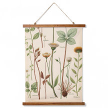 Vintage wissenschaftliche botanische Illustrations