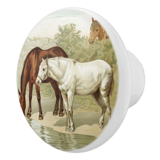 Vintage Wohngestaltung Keramikknauf (Rechts)