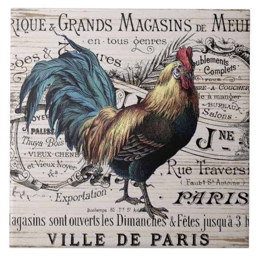 Vintage Wohngestaltung von Paris Fliese (Vorderseite)