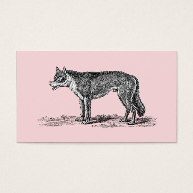 Vintage Wolf-Illustration - Wolfenvorlage aus dem  (Vorderseite)
