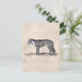 Vintage Wolf-Illustration - Wolfenvorlage aus dem  Postkarte (Stehend Vorderseite)