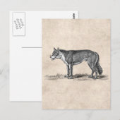 Vintage Wolf-Illustration - Wolfenvorlage aus dem  Postkarte (Vorne/Hinten)