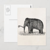 Vintage Wolle Mammoth Illustration Wollmammut Postkarte (Vorne/Hinten)