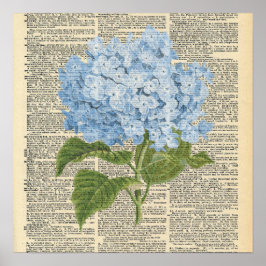 Vintage-Wörterbuch Blaue Hortensien-Blumen Poster