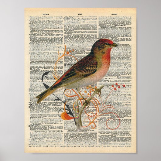 Vintage Wörterbücher Kunst Hübsche Vogelkunst Poster (Vorne)