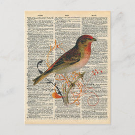 Vintage Wörterbücher Kunst Hübsches Rotes Orange V Postkarte