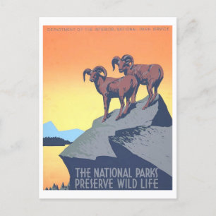 Vintage-WPA-Plakat: Wild Life-Postkarte Postkarte