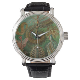 Vintage-Würmer Anneliden Chaetopoda von Ernst Haec Armbanduhr