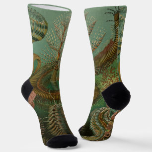 Vintage-Würmer Anneliden Chaetopoda von Ernst Haec Socken