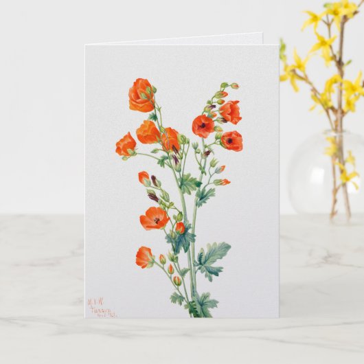 Vintage-Wüsten-Kugelmallow-Botanikillustration Karte (Gelbe Blume)