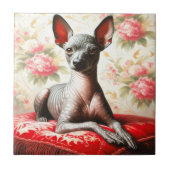 Vintage Xoloitzcuintle Illustration Fliese (Vorderseite)