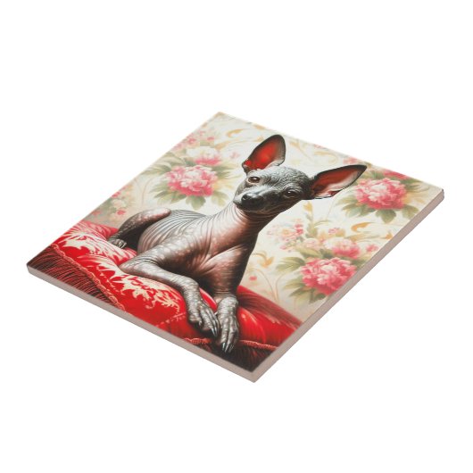 Vintage Xoloitzcuintle Illustration Fliese (Seite)
