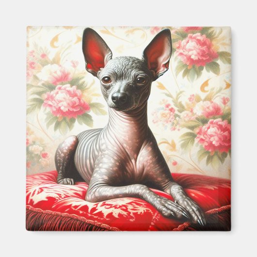 Vintage Xoloitzcuintle Illustration Magnet (Vorne)