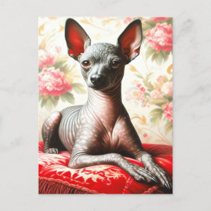Vintage Xoloitzcuintle Illustration Postkarte