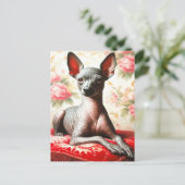 Vintage Xoloitzcuintle Illustration Postkarte (Stehend Vorderseite)