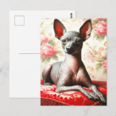 Vintage Xoloitzcuintle Illustration Postkarte (Vorne/Hinten)