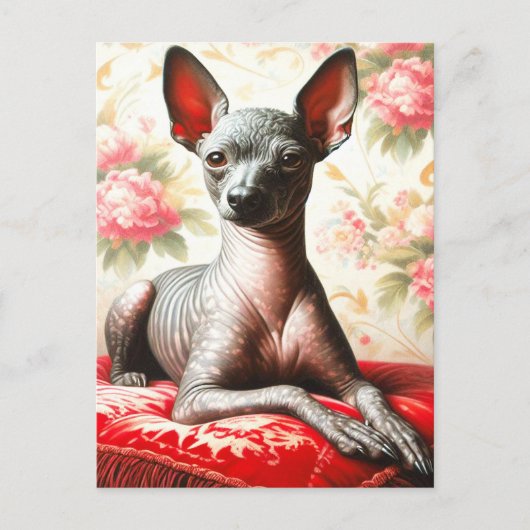 Vintage Xoloitzcuintle Illustration Postkarte (Vorderseite)