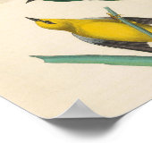 Vintage Yellow Birds On Flower Illustration Poster (Ecke)