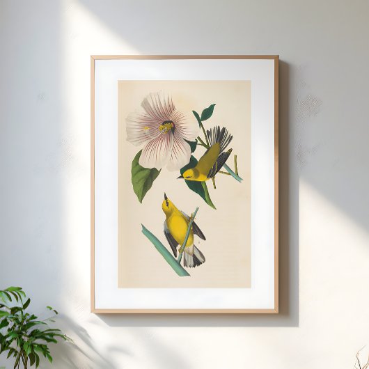 Vintage Yellow Birds On Flower Illustration Poster