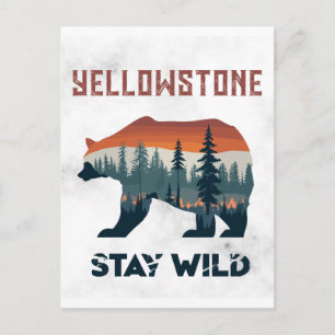 Vintage Yellowstone Grizzly Bär Bleib Wild Postkarte