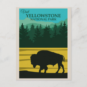 Vintage Yellowstone Nationalpark Büffel Postkarte