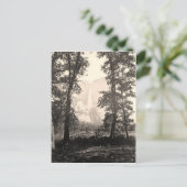 Vintage Yosemite Falls Postkarte (Stehend Vorderseite)
