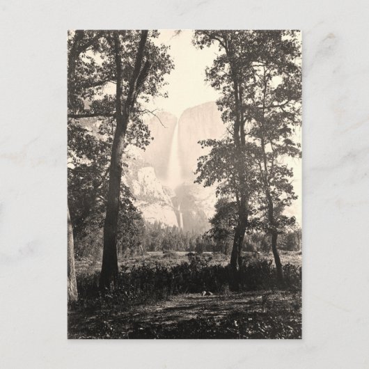 Vintage Yosemite Falls Postkarte (Vorderseite)
