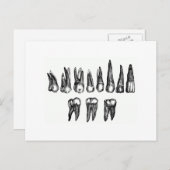 Vintage Zähne Postkarte (Vorne/Hinten)