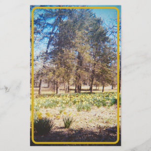 Vintage Zahnheilkunde Briefpapier