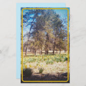 Vintage Zahnheilkunde Briefpapier (Vorne/Hinten)