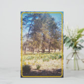 Vintage Zahnheilkunde Briefpapier (Stehend Vorderseite)