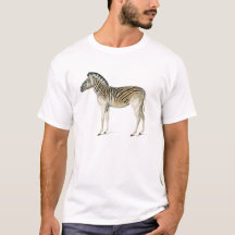 Vintage Zebra-Abbildung