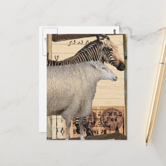 Vintage Zebra and Sheep Mixed Media Collage Postkarte (Vorderseite/Rückseite Beispiel)