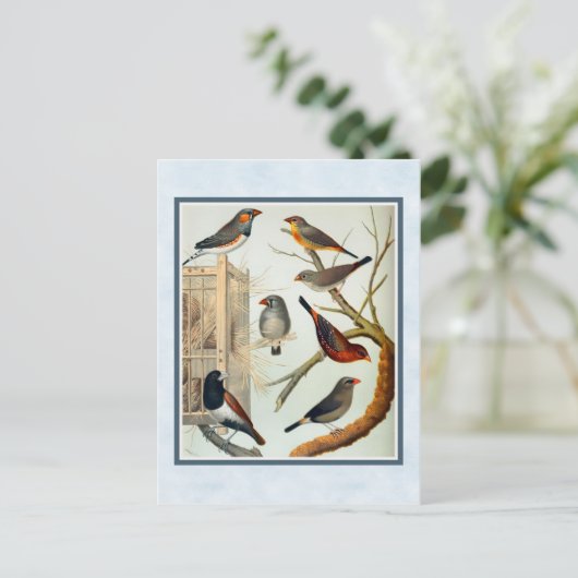 Vintage Zebra-Finish Postkarte (Stehend Vorderseite)