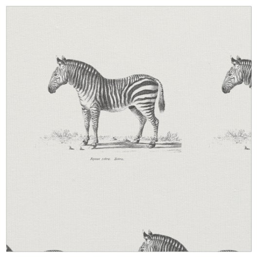 Vintage-Zebra Stoff (Nahaufnahme)