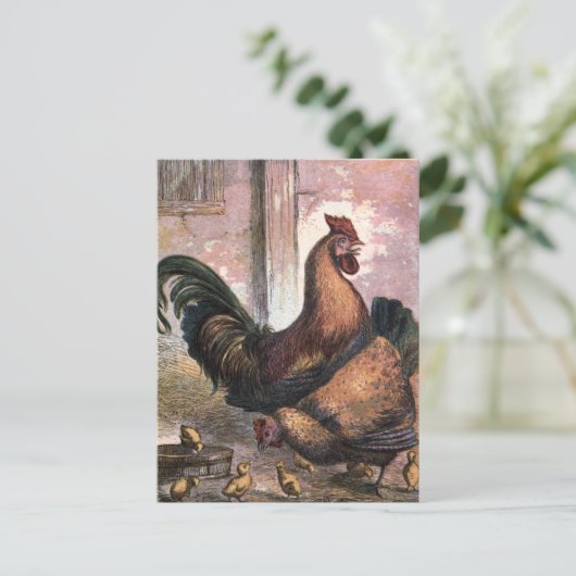 Vintage Zeichn: Runder und Hen Postkarte (Stehend Vorderseite)