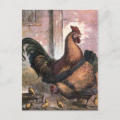 Vintage Zeichn: Runder und Hen Postkarte (Vorderseite)